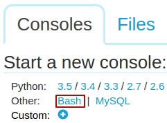 bash_console_python_anywhere